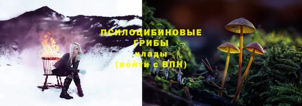 твердый Горнозаводск