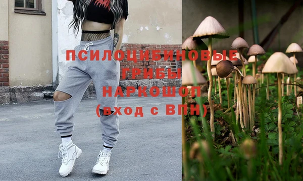 твердый Горнозаводск