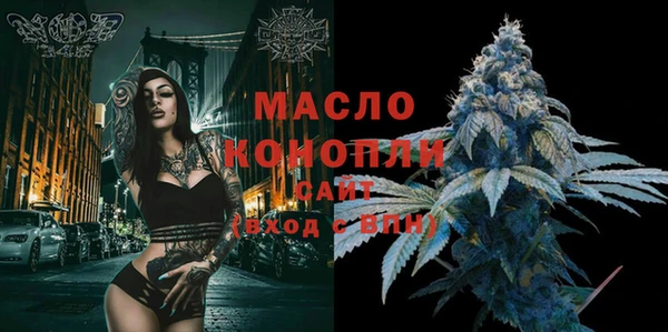молекула духа Горняк
