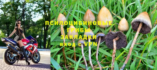 твердый Горнозаводск