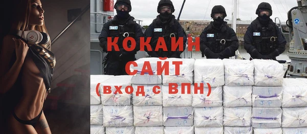 молекула духа Горняк